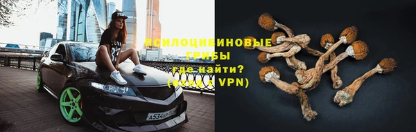 хмурый Богородицк