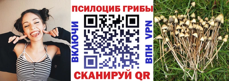 даркнет сайт  Каспийск  Галлюциногенные грибы GOLDEN TEACHER 